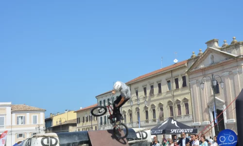 Free Style 2024 - 19