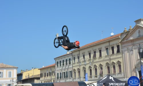 Free Style 2024 - 22