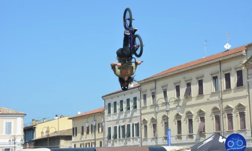 Free Style 2024 - 34