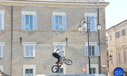 Free Style 2024 - 53