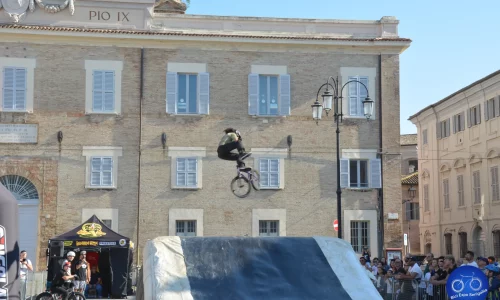 Free Style 2024 - 66