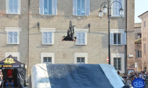 Free Style 2024 - 71