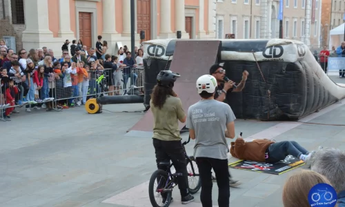 Free Style 2024 - 81